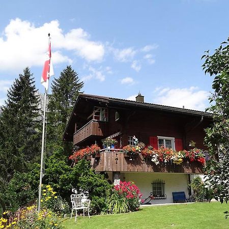 Apartment Chalet Spannortblick Engelberg Bagian luar foto
