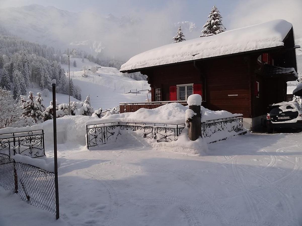 Apartment Chalet Spannortblick Engelberg Bagian luar foto