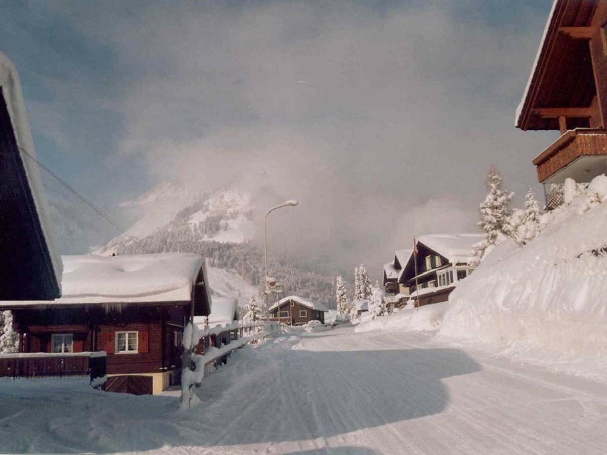 Apartment Chalet Spannortblick Engelberg Bagian luar foto