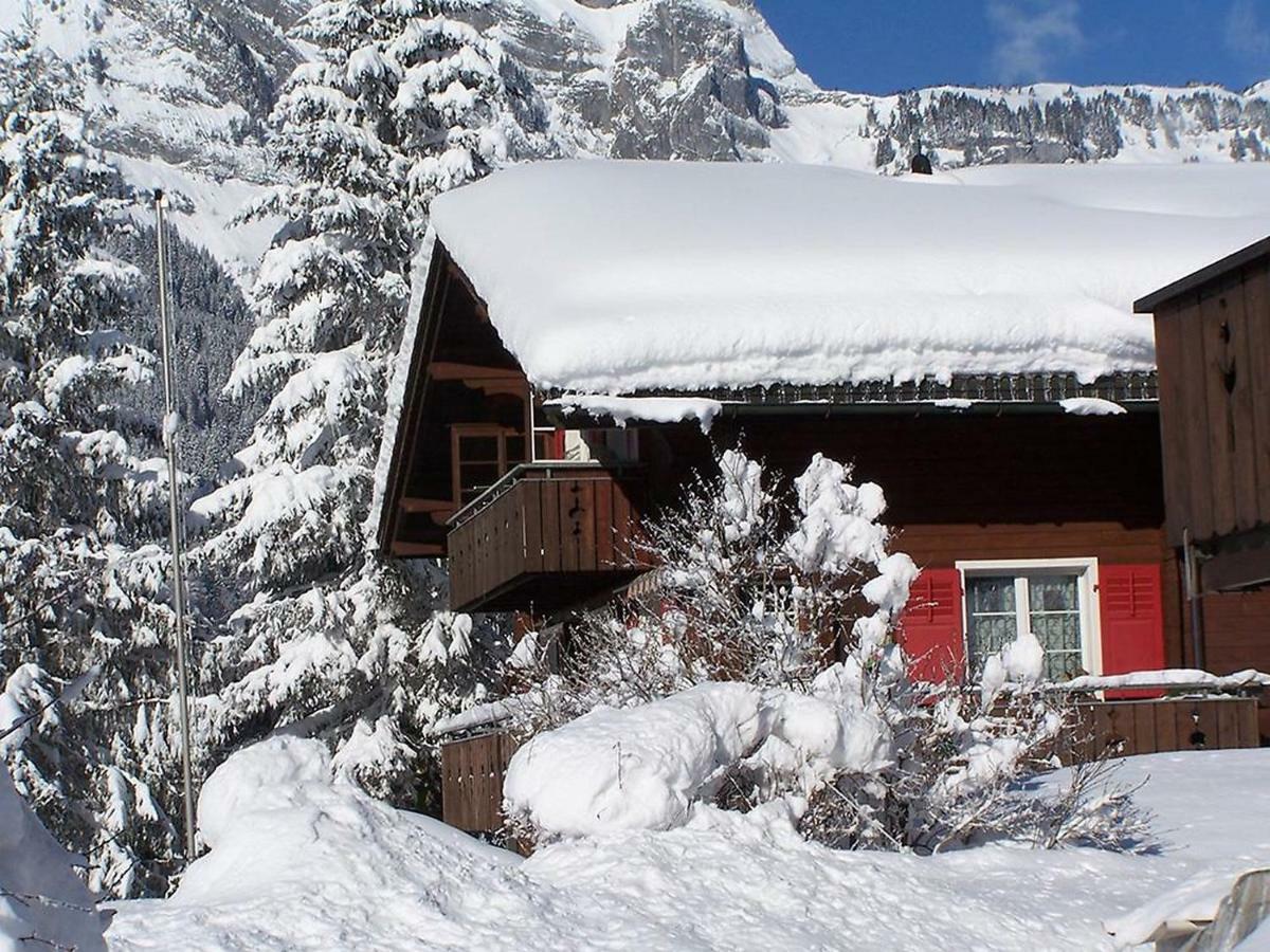 Apartment Chalet Spannortblick Engelberg Bagian luar foto